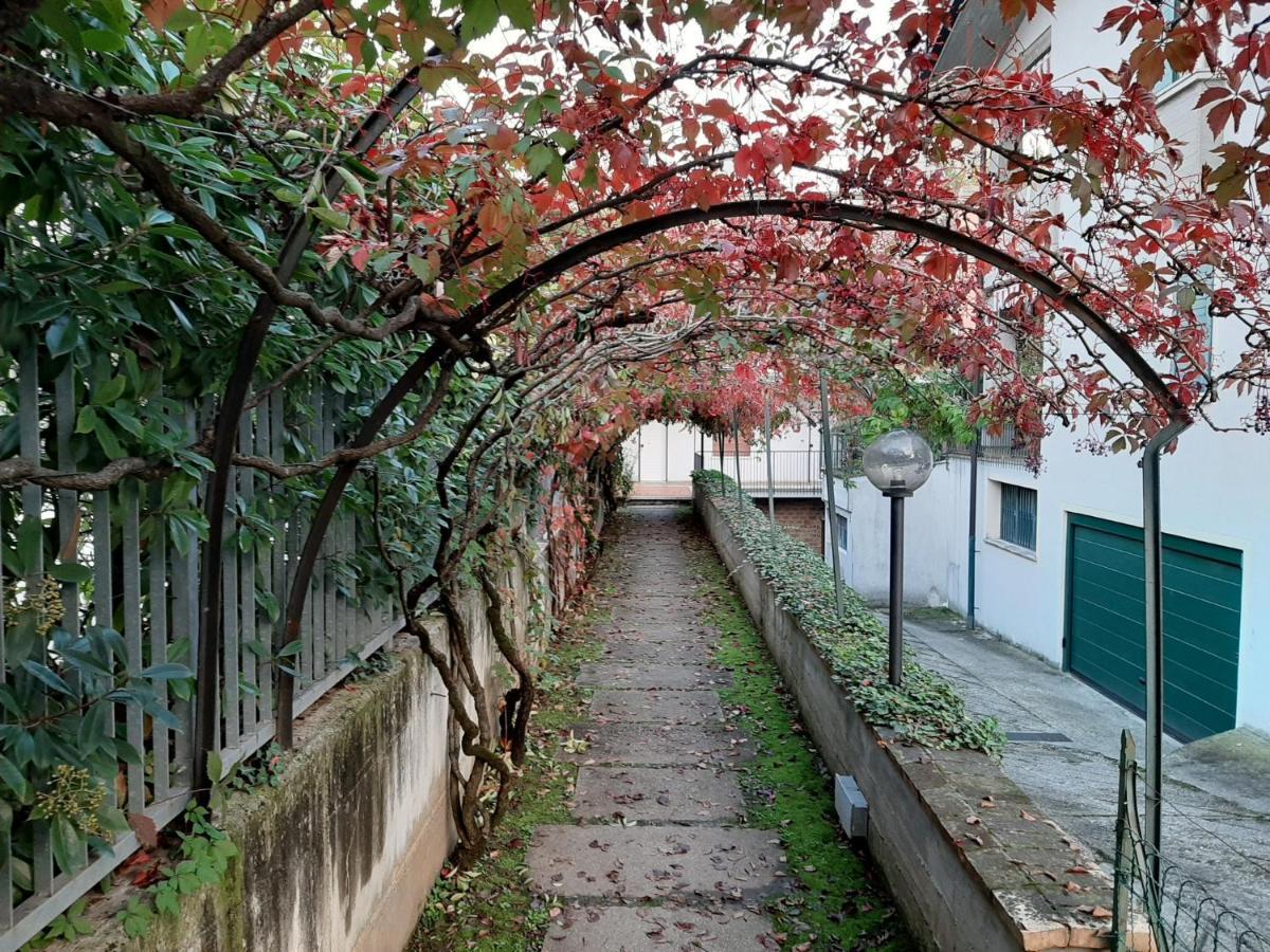Appartamento Genziana - Con Vista Piscina E Garage Сирмионе Экстерьер фото